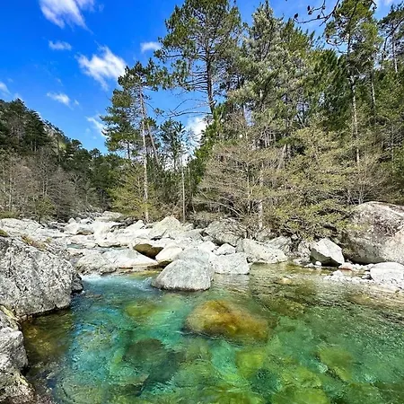 Stop Apartamento Corte (Corsica)